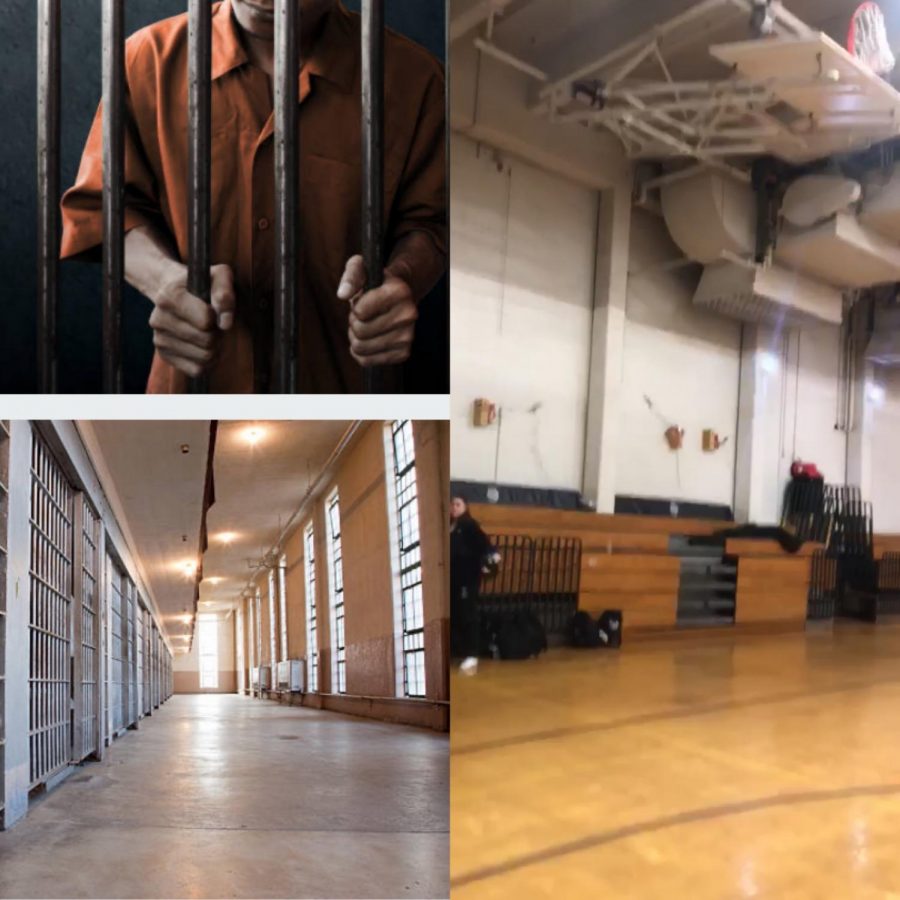 Small Gym, or Prison?