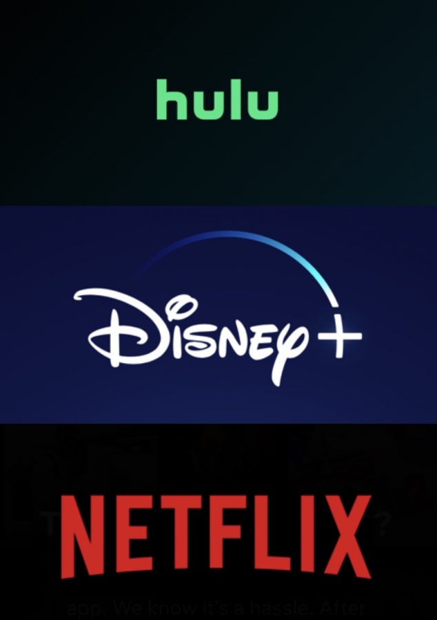 Netflix, Hulu, and Disney+?: How Streaming Services are Growing in Popularity