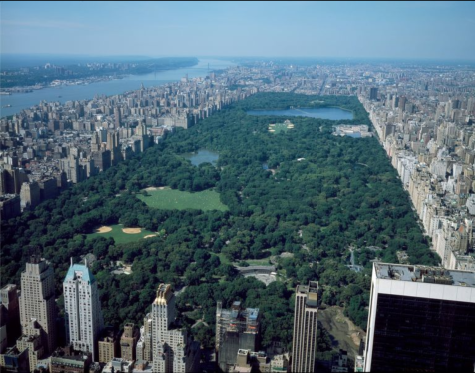 Aerial view of New York City, in which Central Park dominates. Photographs in the Carol M. Highsmith Archive, Library of Congress, Prints and Photographs Division.