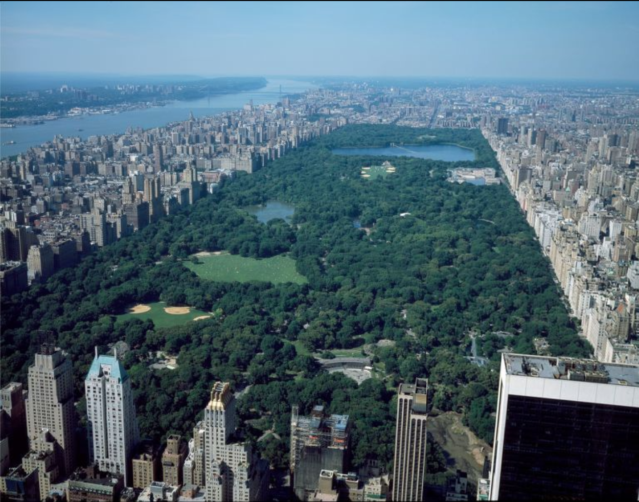 Central Park: An Oasis in the City – The Prospect