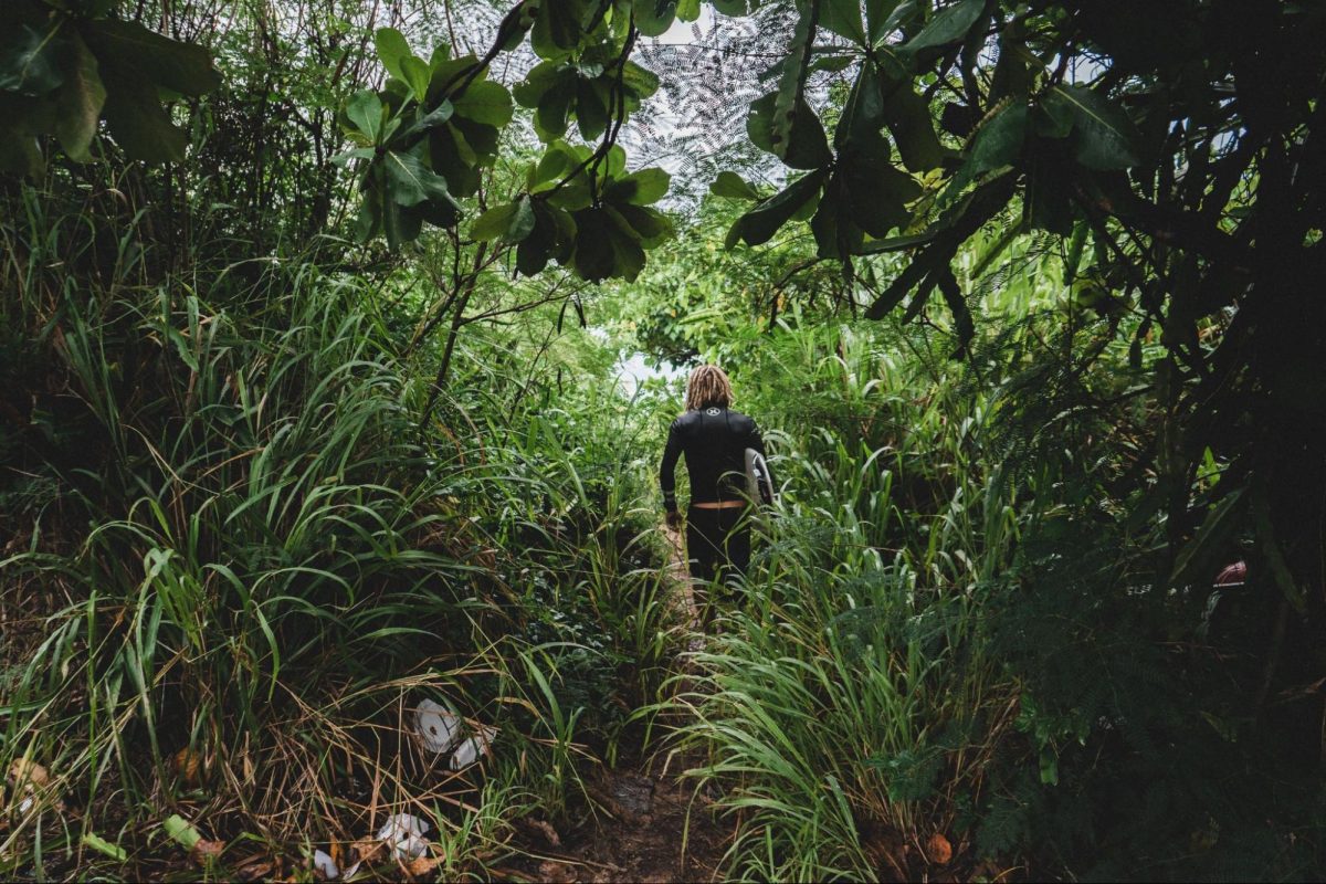 Journey Through the Darien Jungle