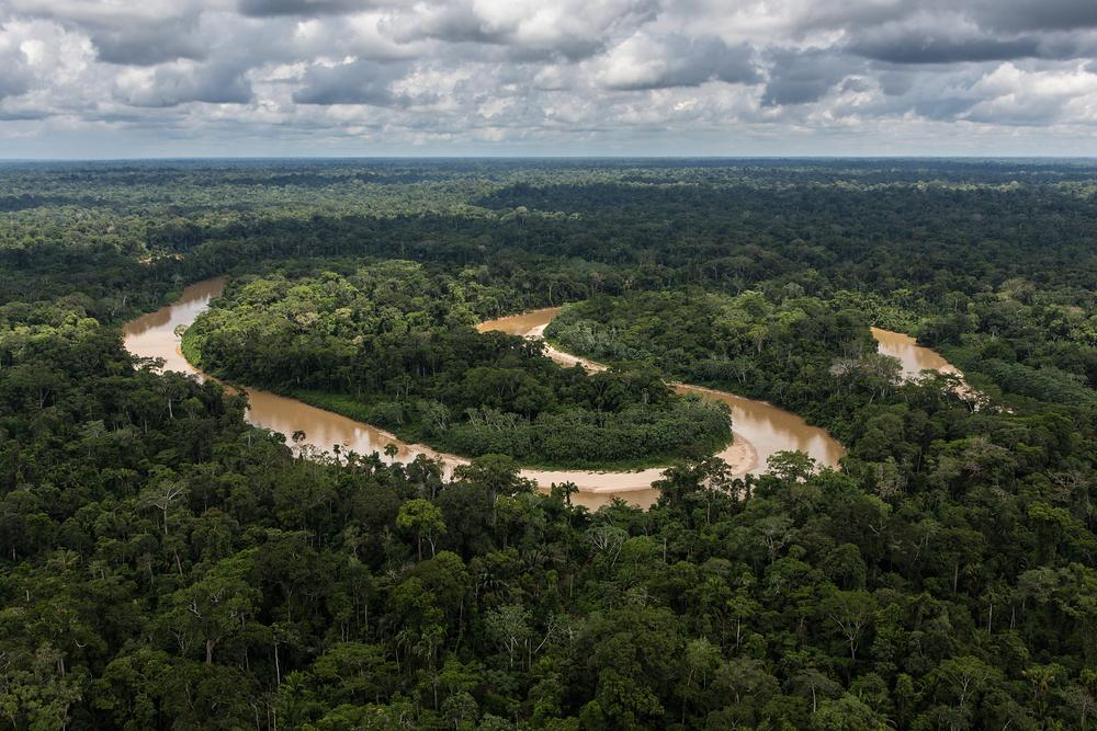 Severe Droughts in the Amazon Rainforest