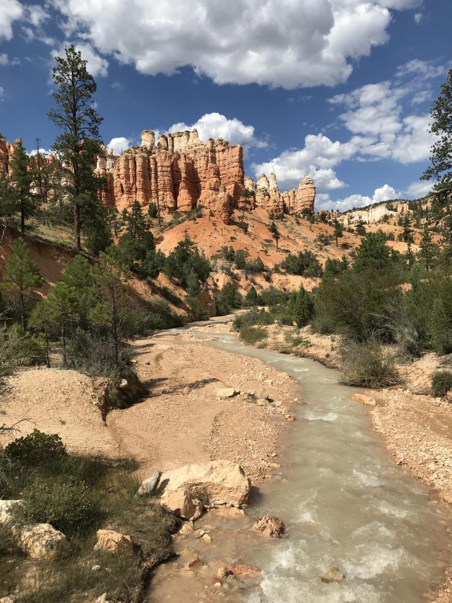 Photo of The Month Winner! (April 2025)